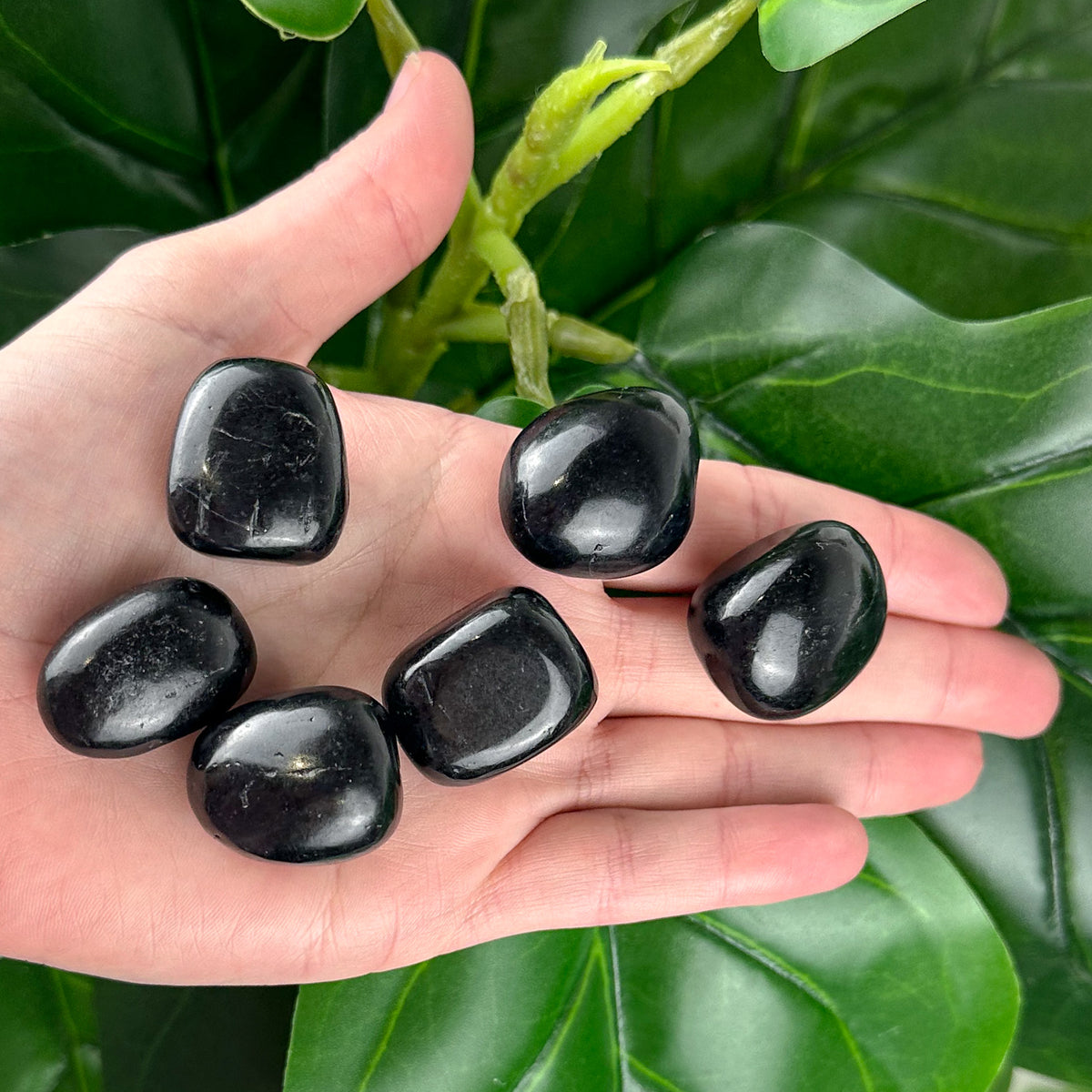 Black Tourmaline Tumbled Stone | Protection & Energy Shield