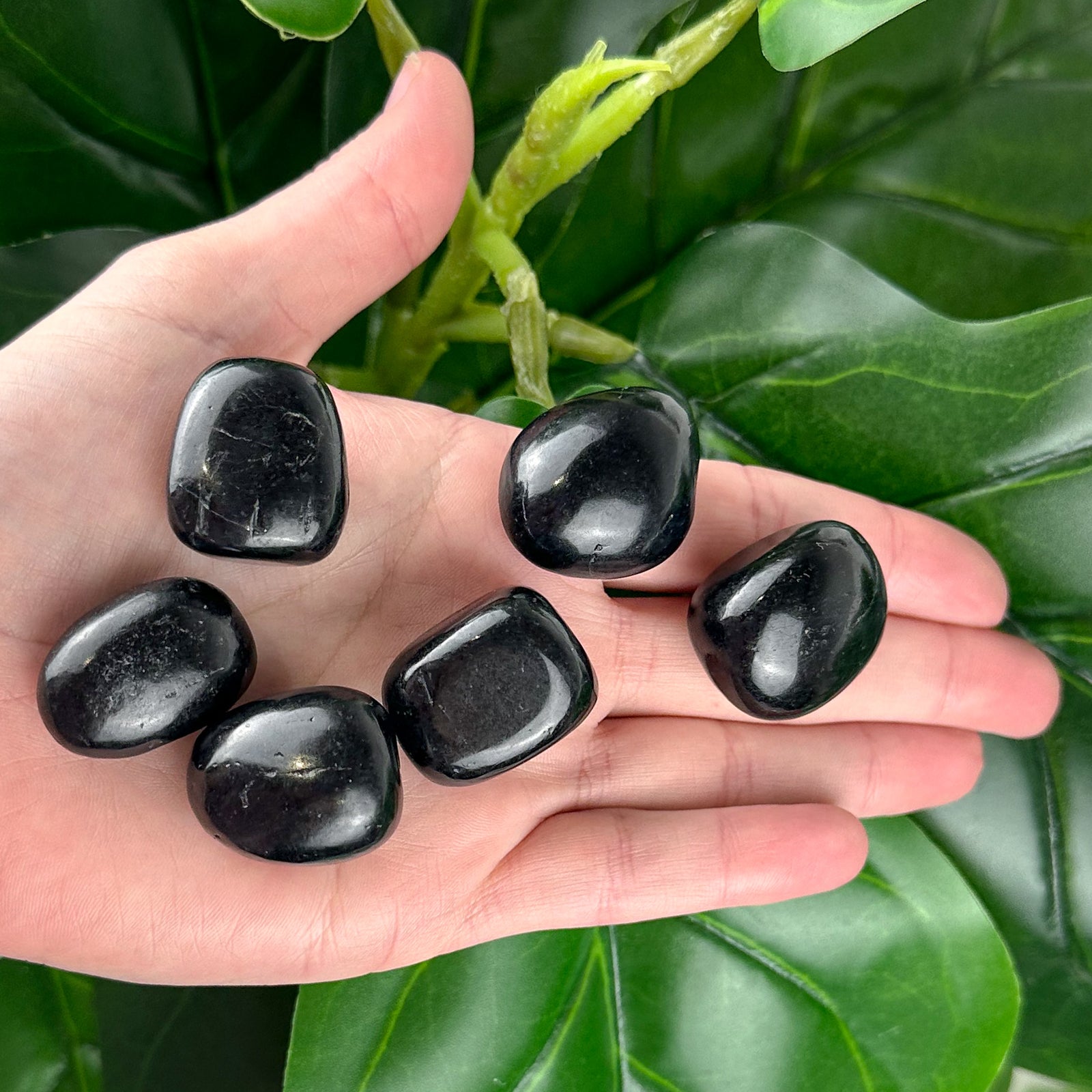 Black Tourmaline Tumbled Stone | Protection & Energy Shield