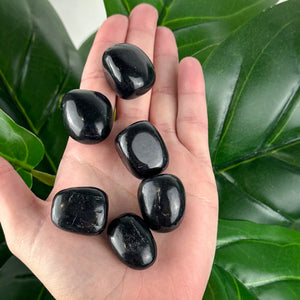 Black Tourmaline Tumbled Stone | Protection & Energy Shield