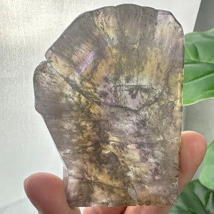 Super Seven Slab | Unique Collector Crystal | High Energy Stone