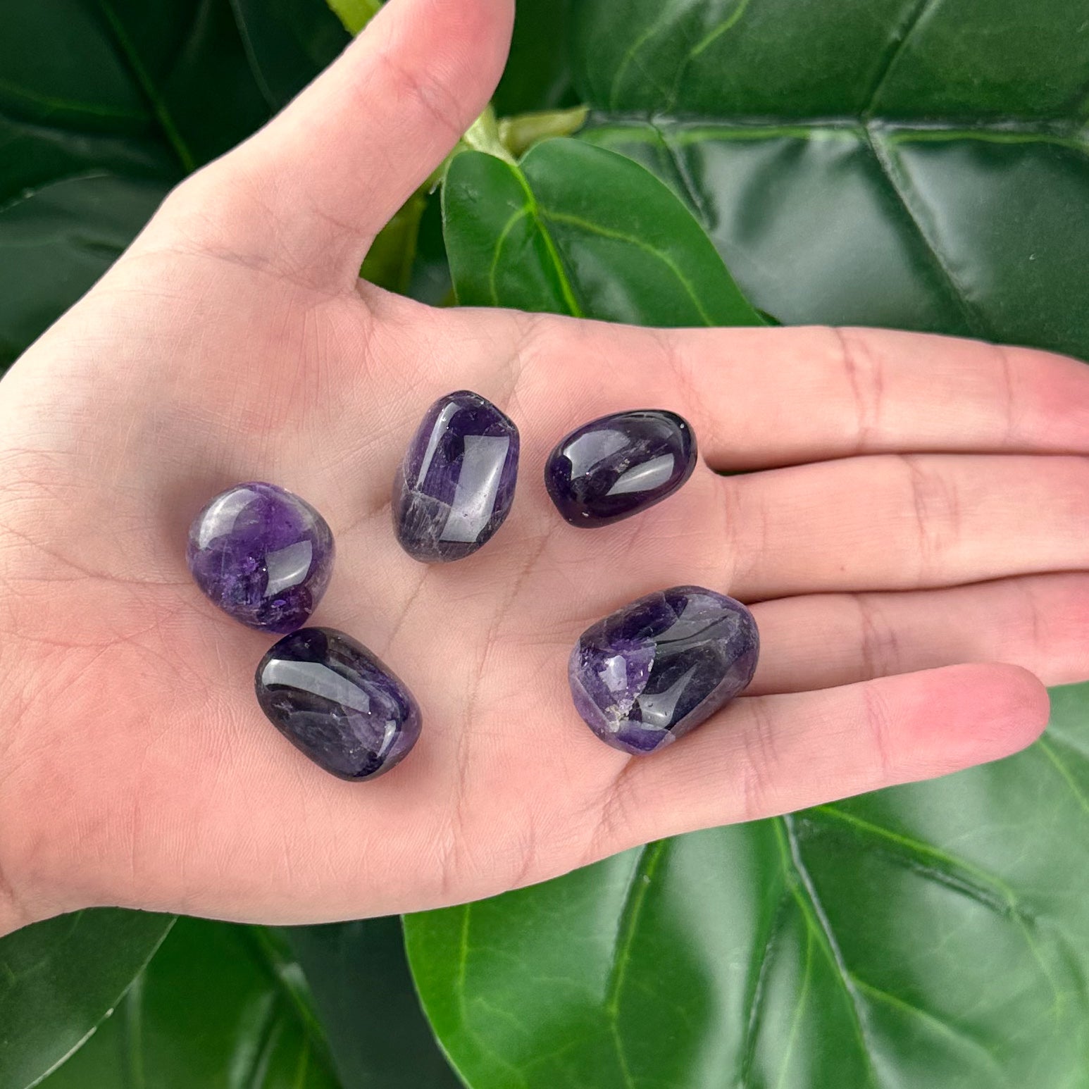 Dark Amethyst Tumbled Stone | Calm & Protection | Healing Crystal