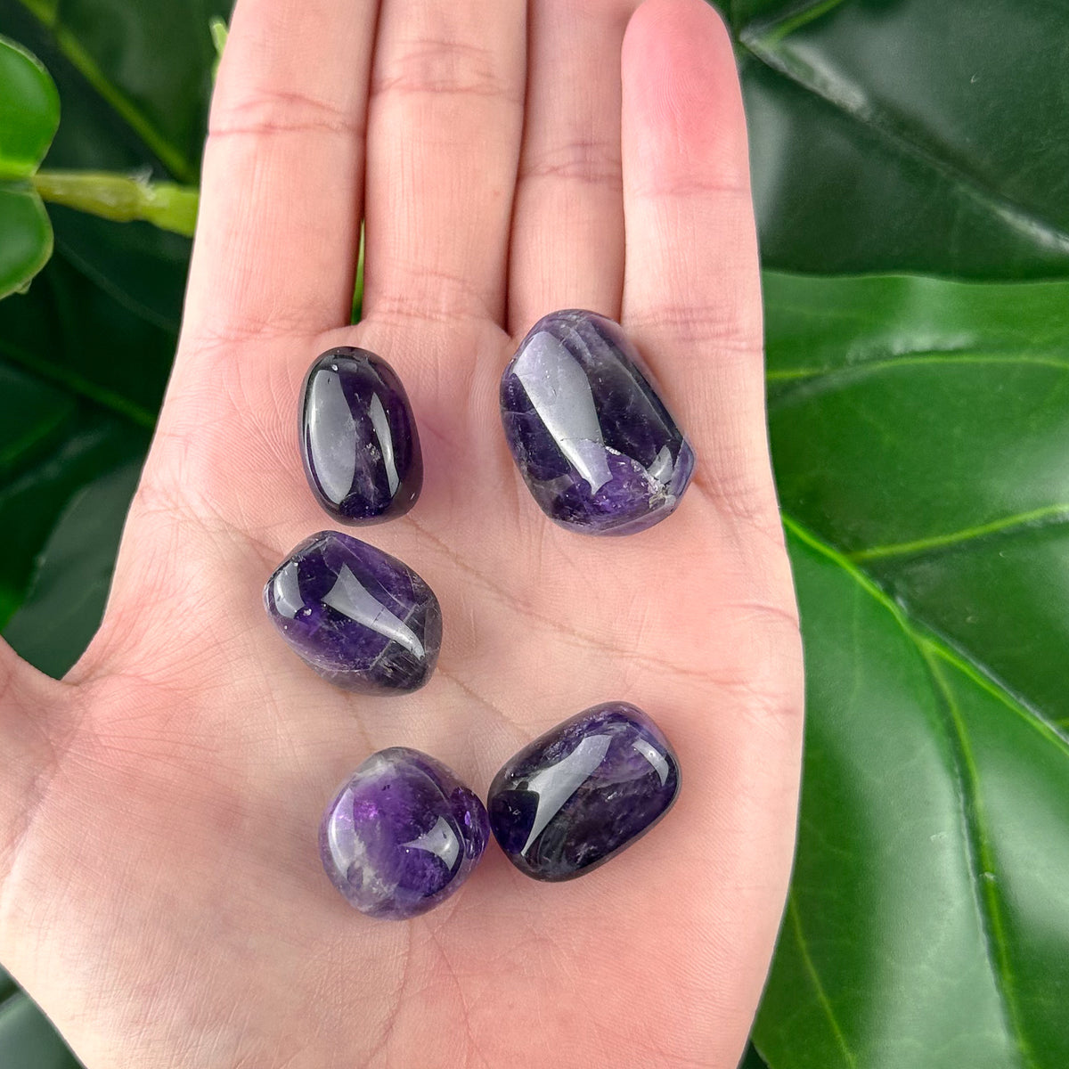 Dark Amethyst Tumbled Stone | Calm & Protection | Healing Crystal