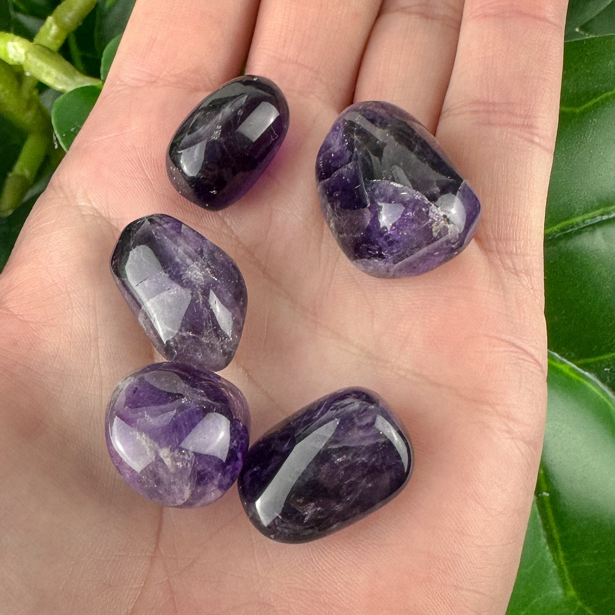 Dark Amethyst Tumbled Stone | Calm & Protection | Healing Crystal