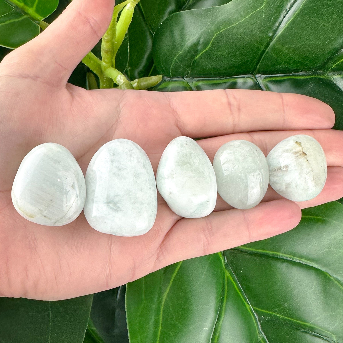 Aquamarine Tumbled Stone | Calm & Communication | Healing Crystal