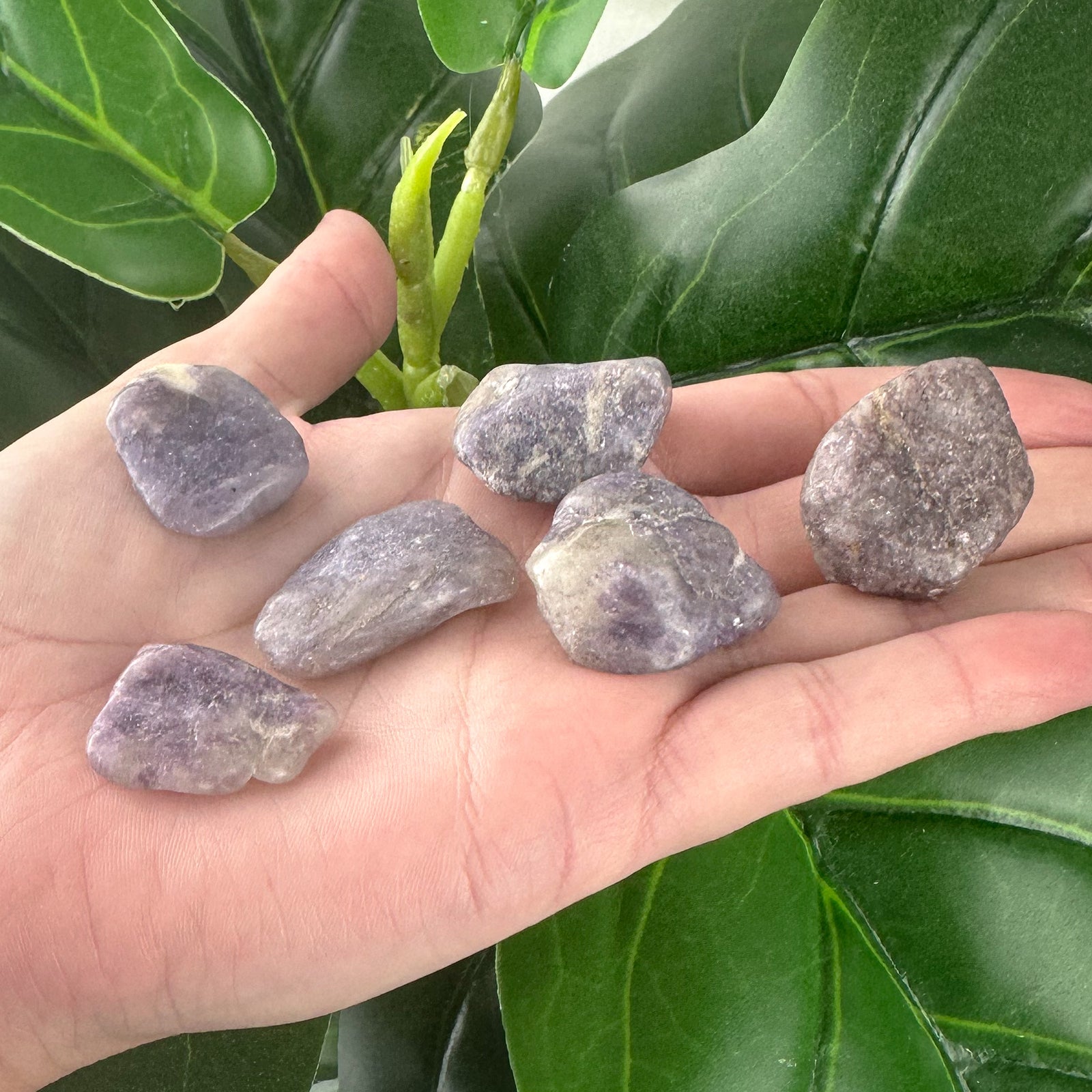 Lepidolite Tumbled Stone | Calm & Stress Relief | Healing Crystal