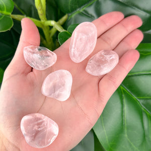 Rose Quartz Tumbled Stone | Love & Emotional Healing | Healing Crystal