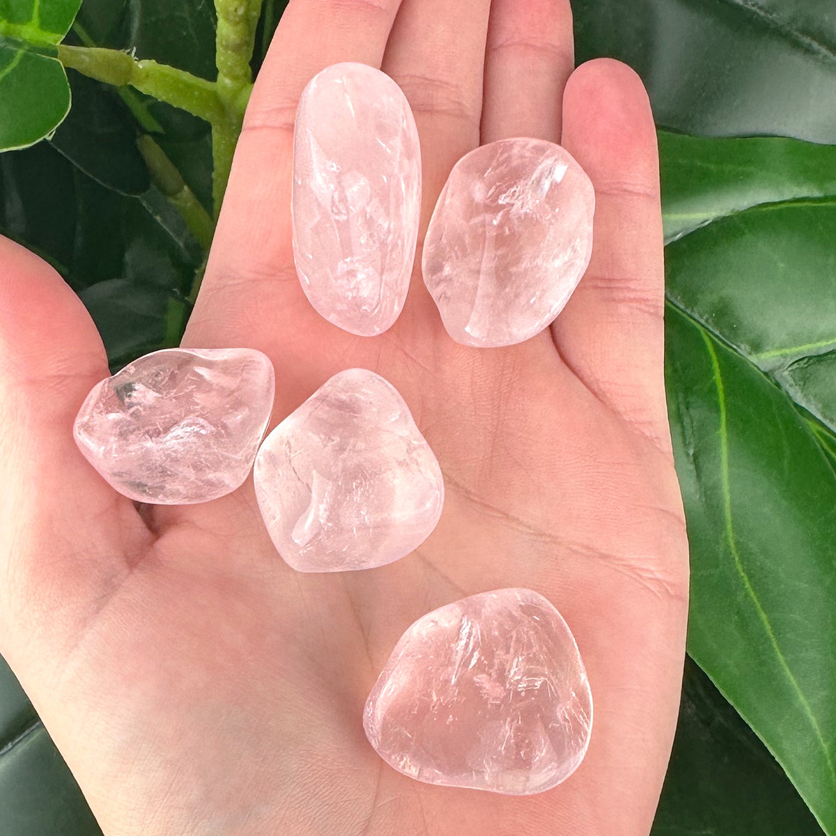 Rose Quartz Tumbled Stone | Love & Emotional Healing | Healing Crystal