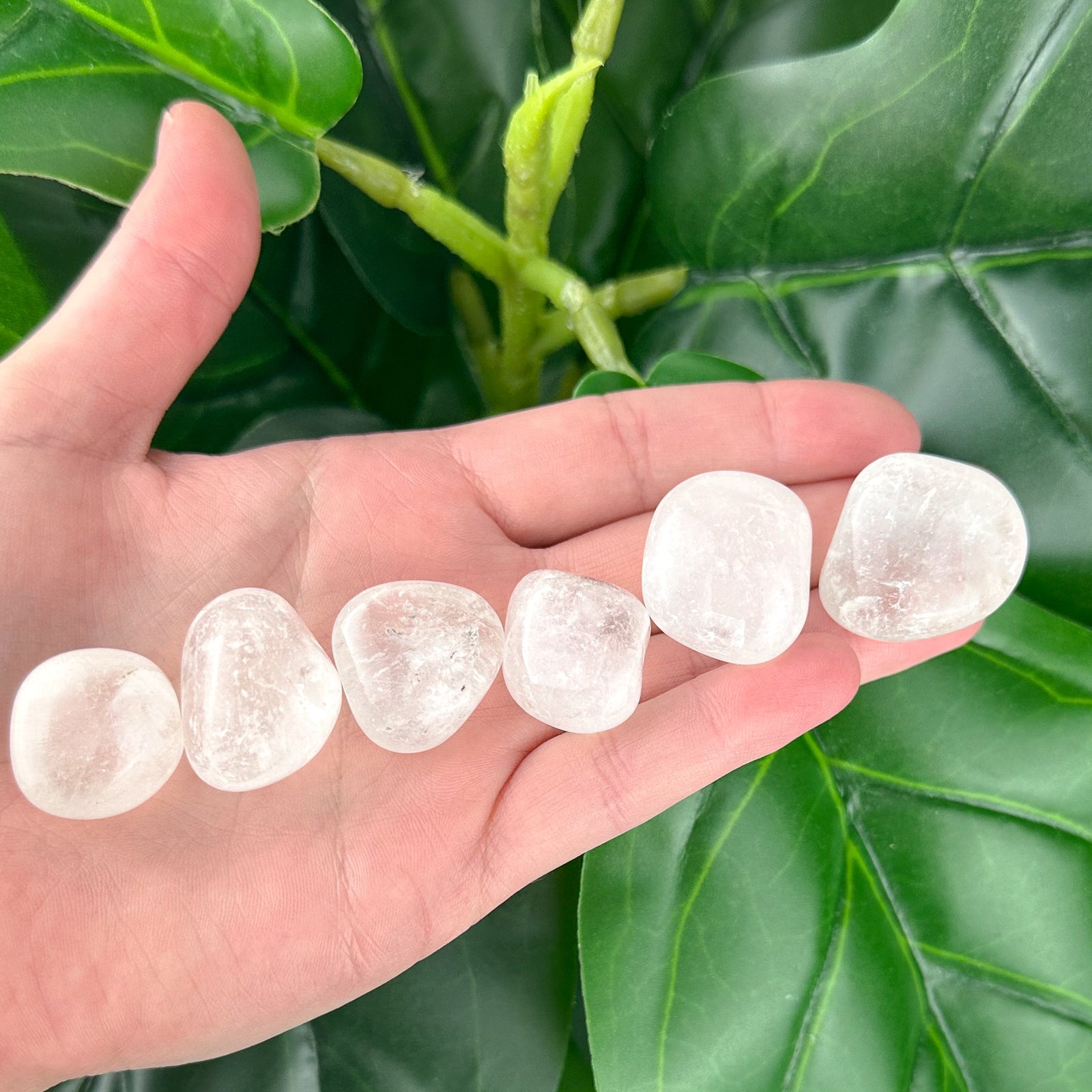Clear Quartz Tumbled Stone | Clarity & Energy Amplification | Healing Crystal