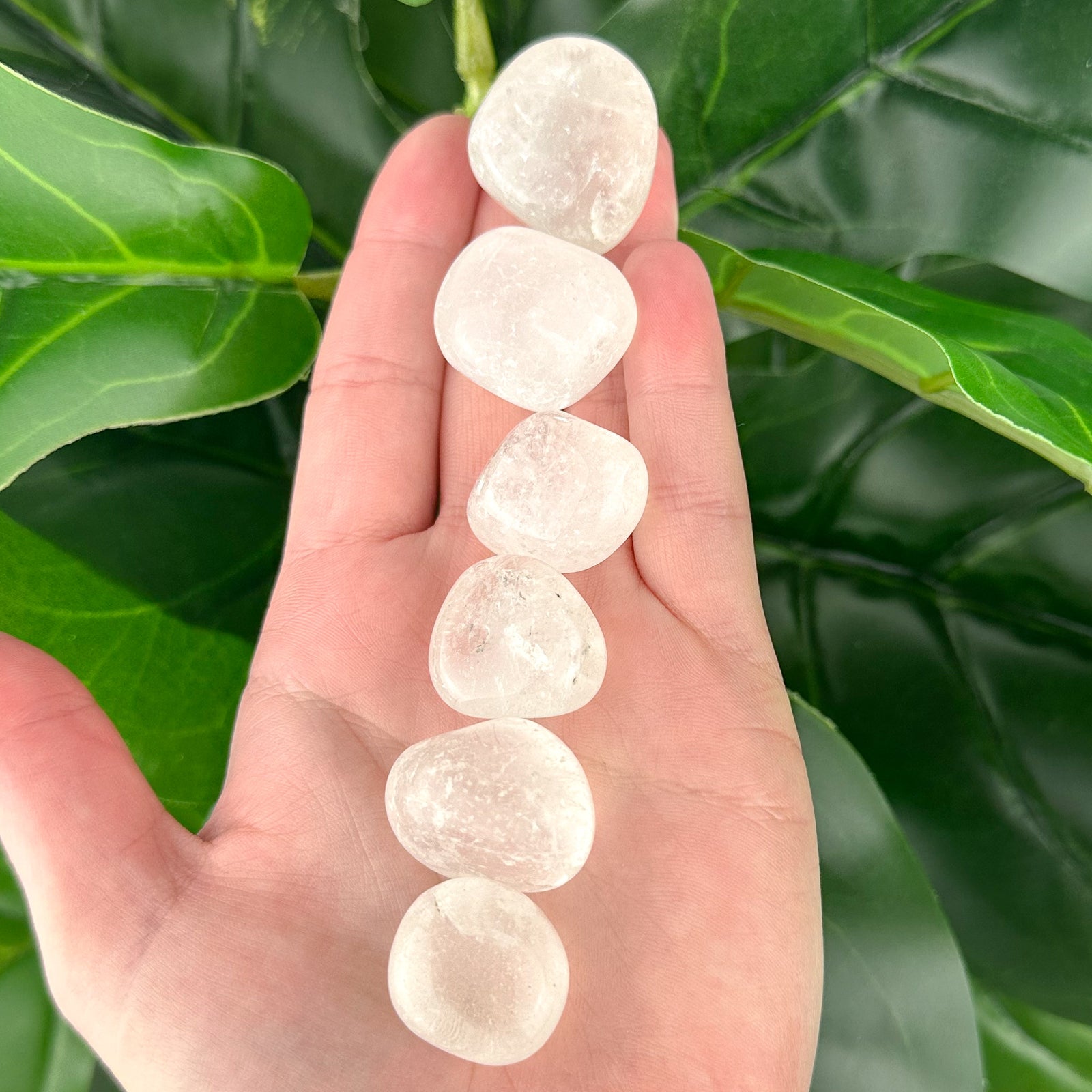 Clear Quartz Tumbled Stone | Clarity & Energy Amplification | Healing Crystal