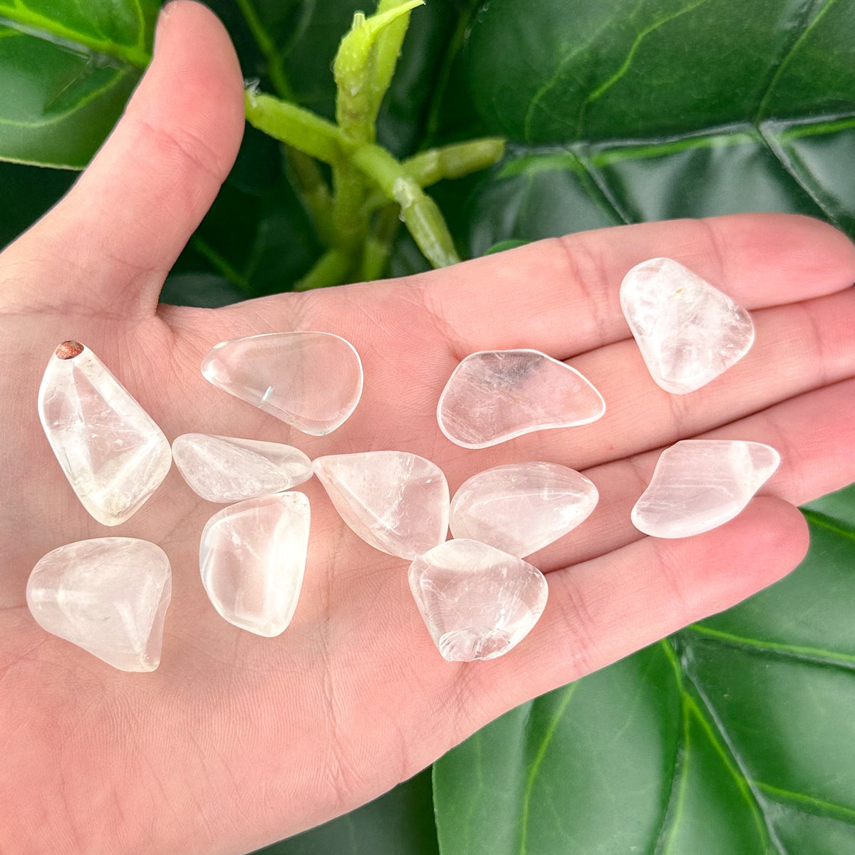Moon Quartz Chips | Calm & Intuition | Crystal Chips