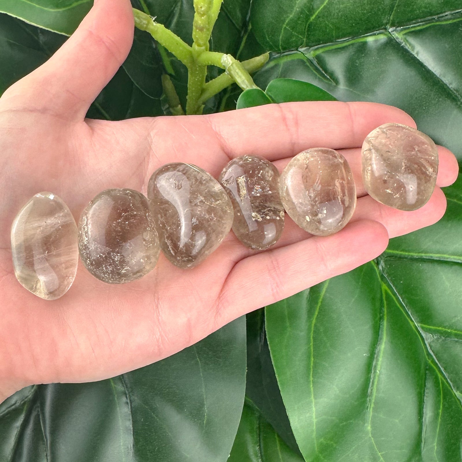 Smoky Quartz Tumbled Stone | High Quality | Grounding & Protection