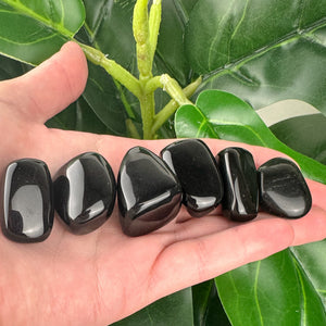 Black Obsidian Tumbled Stone | Protection & Grounding | Healing Crystal