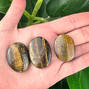 Tiger’s Eye Palm Stone | Protection & Confidence | Healing Crystal