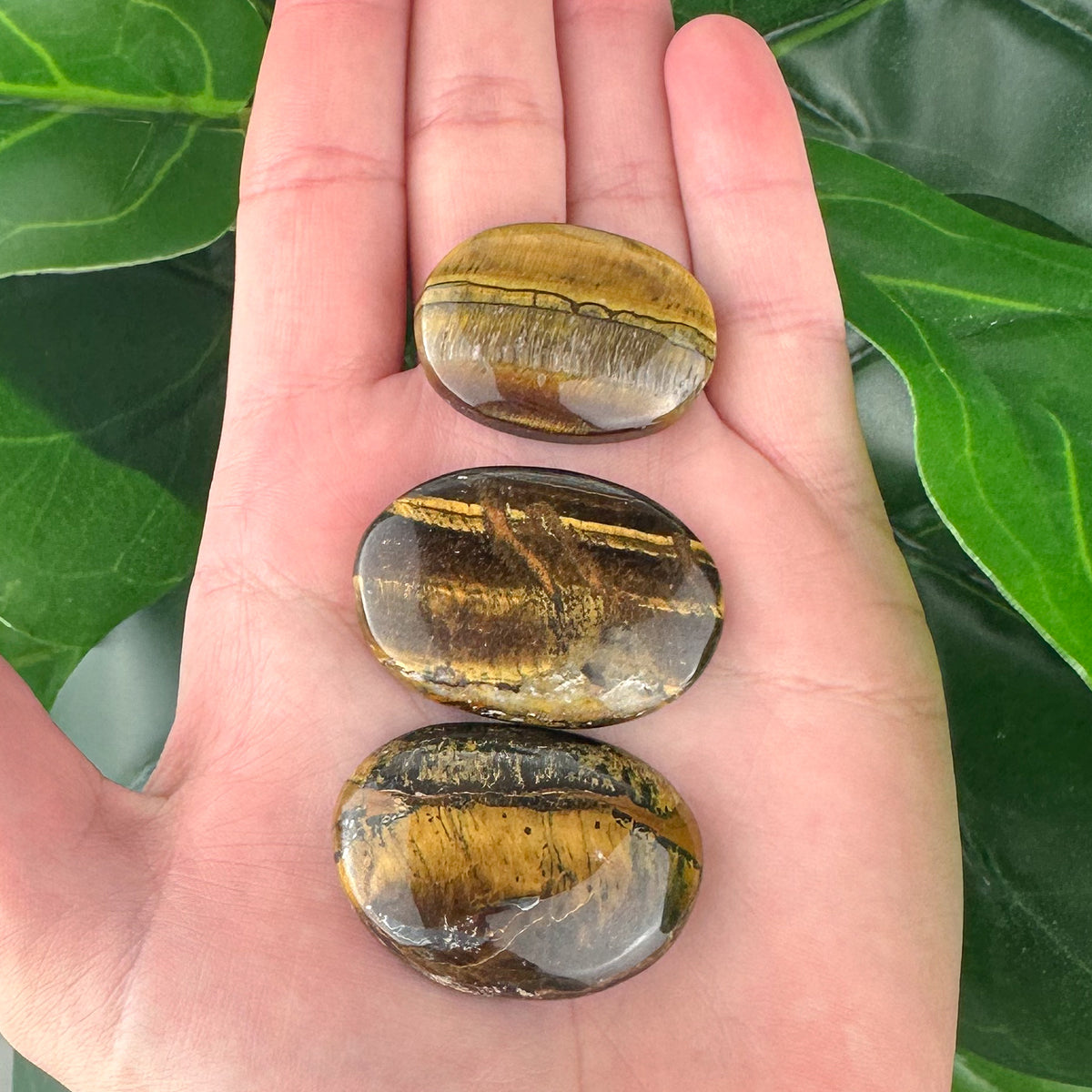 Tiger’s Eye Palm Stone | Protection & Confidence | Healing Crystal