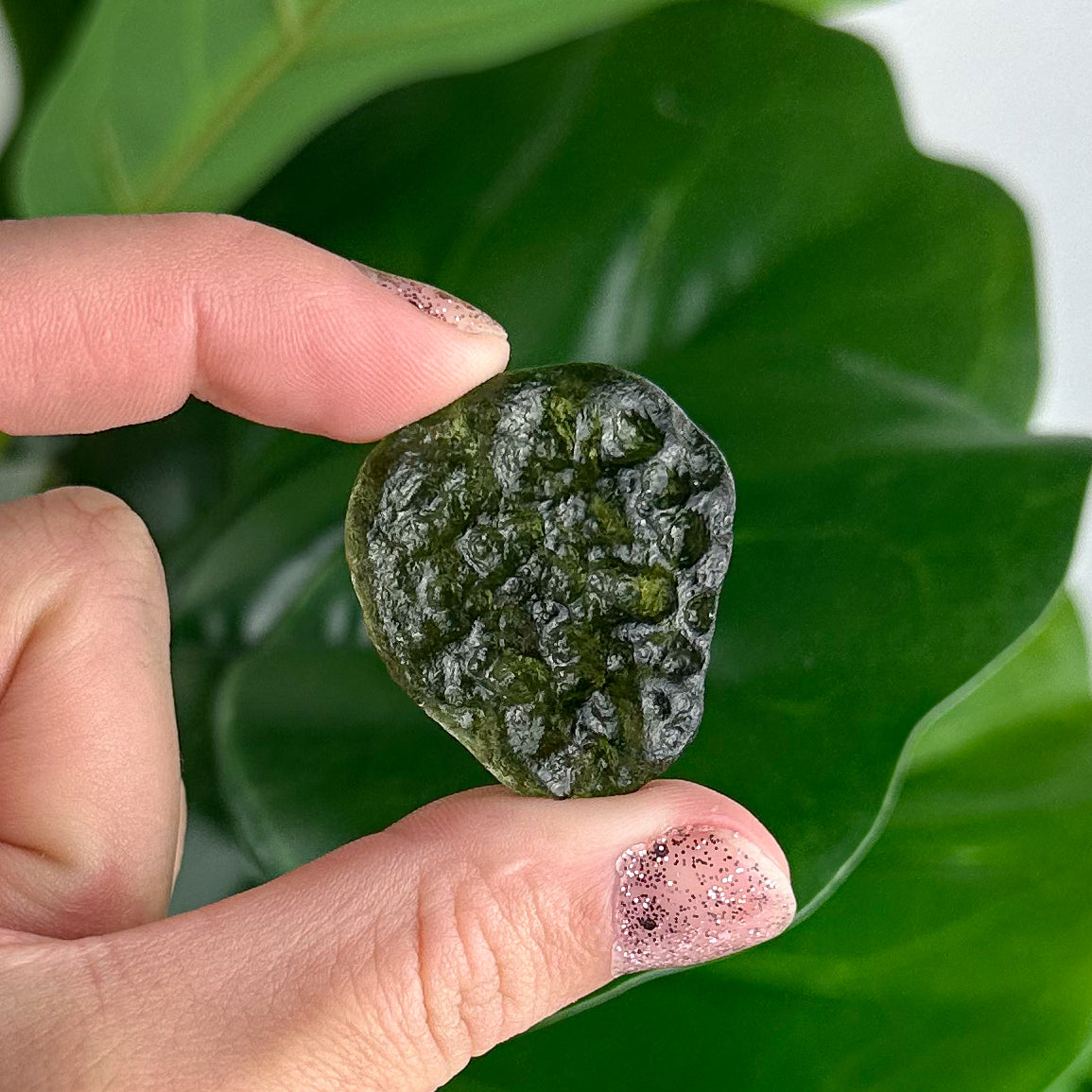 Genuine Czech Republic Moldavite- Choose Your Own