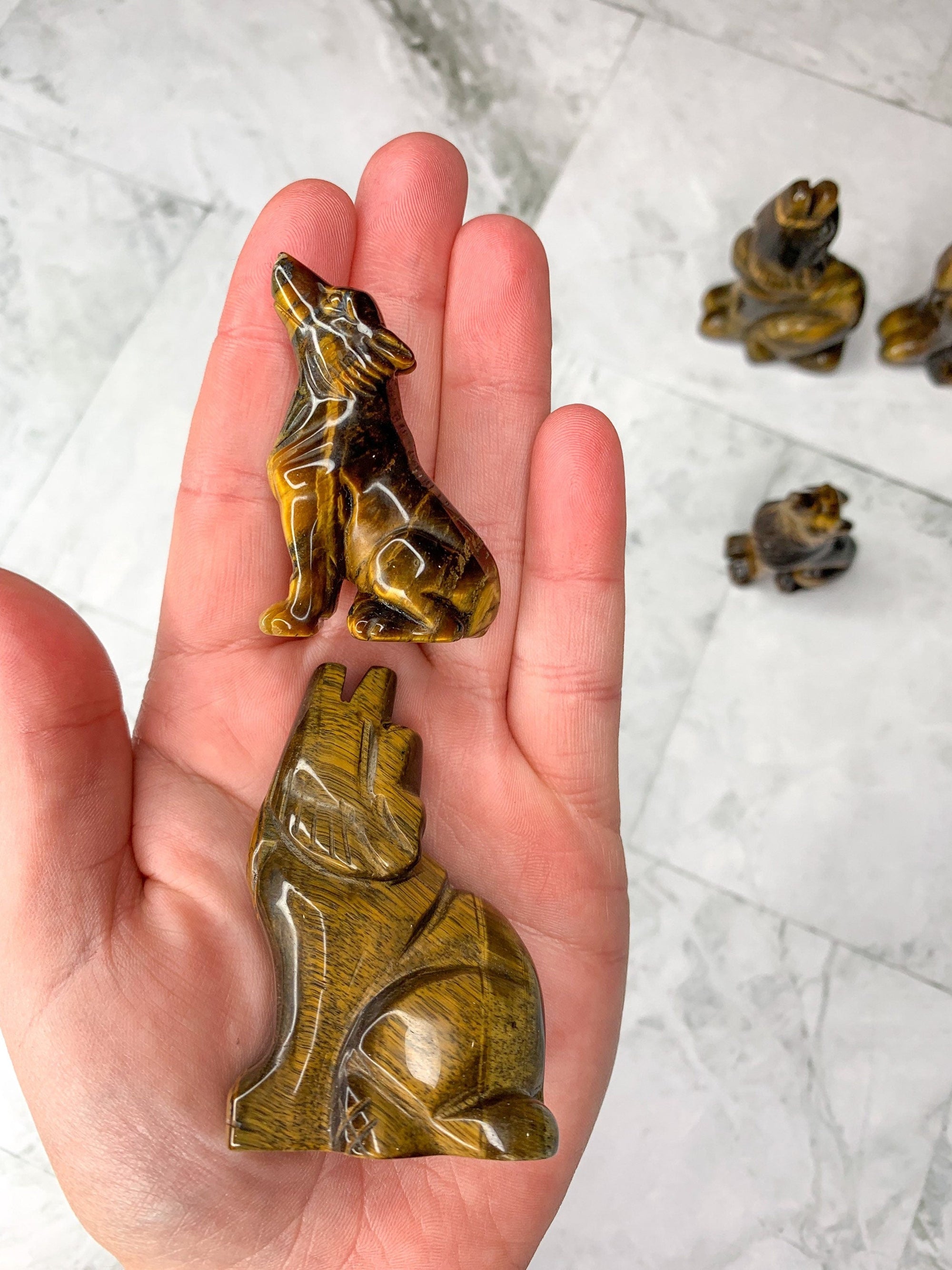 Tiger Eye Wolf