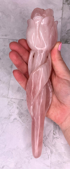 Rose Quartz Rose