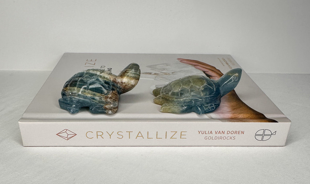 Blue Onyx Turtle