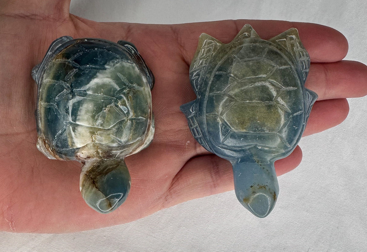 Blue Onyx Turtle