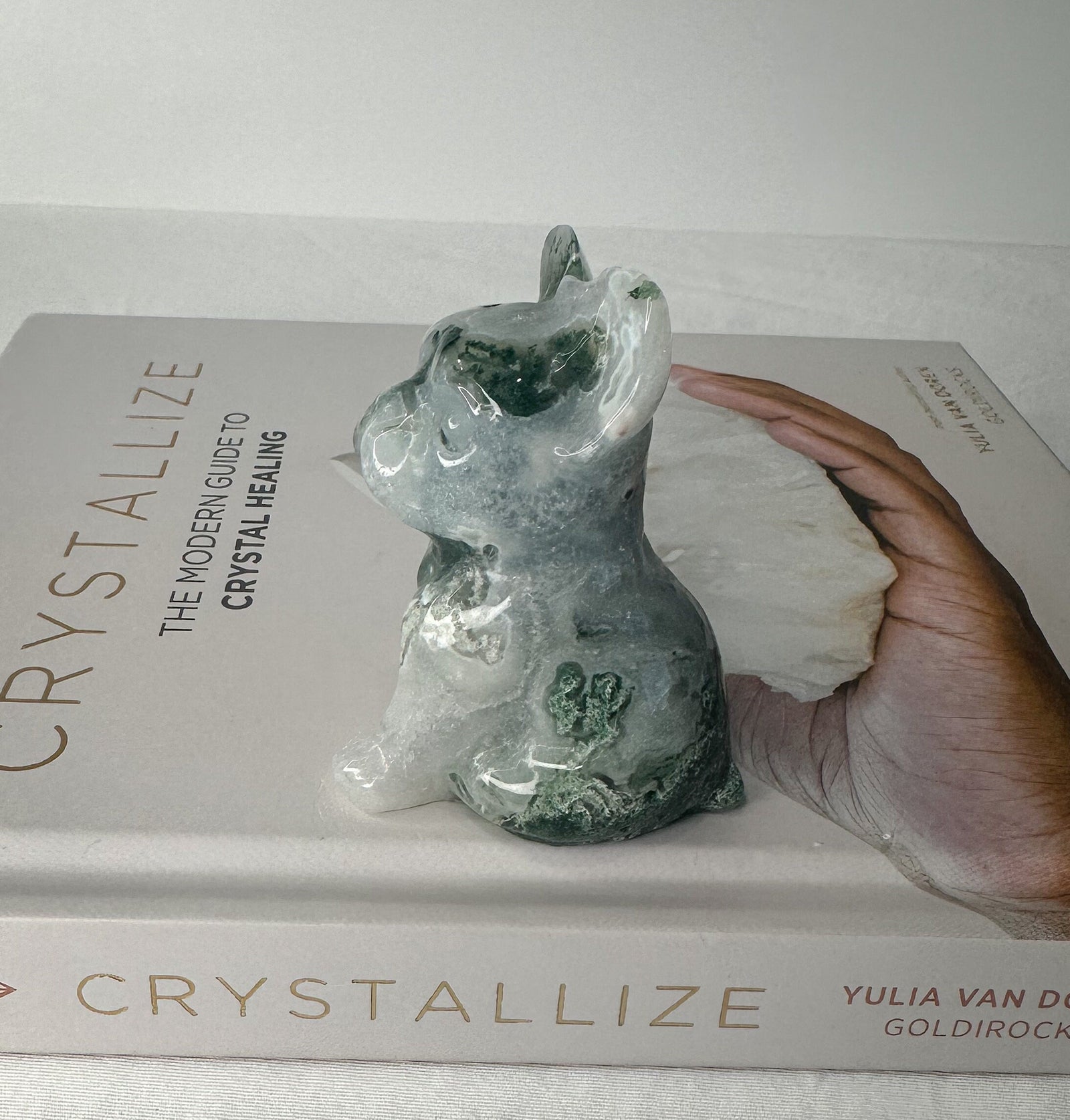 Unique Moss Agate French Bulldog Carving