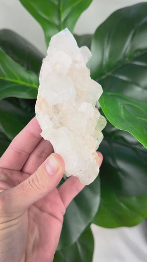 Premium Apophyllite Cluster | Clarity, Serenity & Spiritual Connection