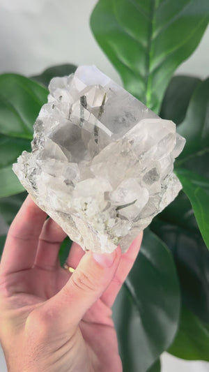 Large Epidote in Quartz Statement Piece | Growth & Manifestation