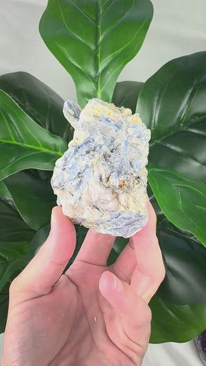 Raw Blue Kyanite Matrix Crystal | Calm & Communication