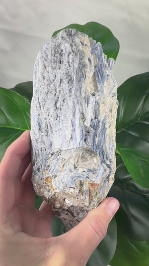 Blue Kyanite in Matrix | Communication, Alignment & Calm