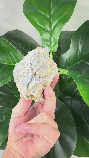 Blue Kyanite Mineral Specimen | Alignment, Calm & Intuition