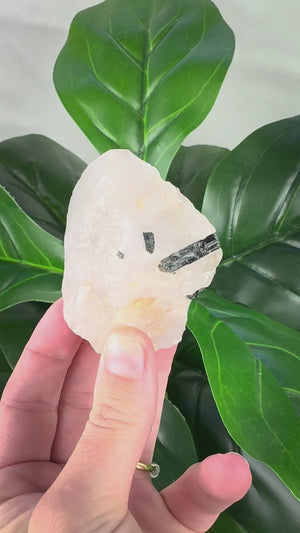 Blue Green Tourmaline Rod in Quartz | Healing & Protection