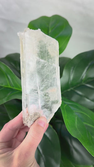 Natural Selenite Window | Cleansing, Peace & Angelic Energy
