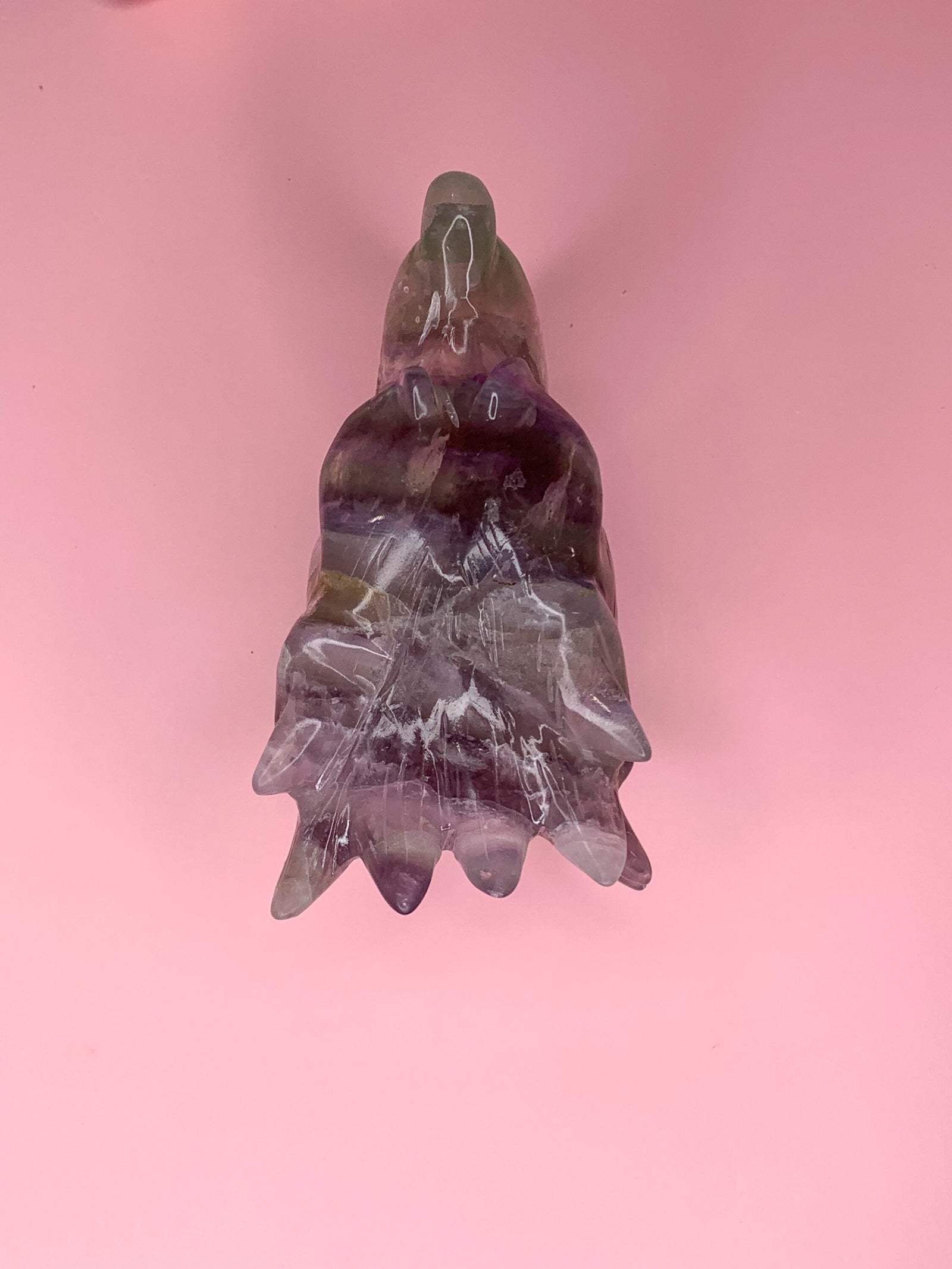 Large Fluorite Wolf Head