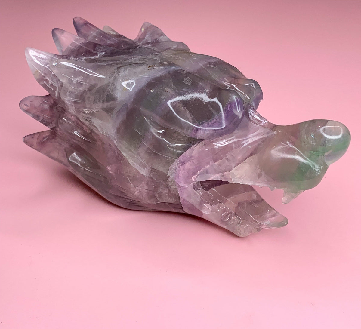 Large Fluorite Wolf Head