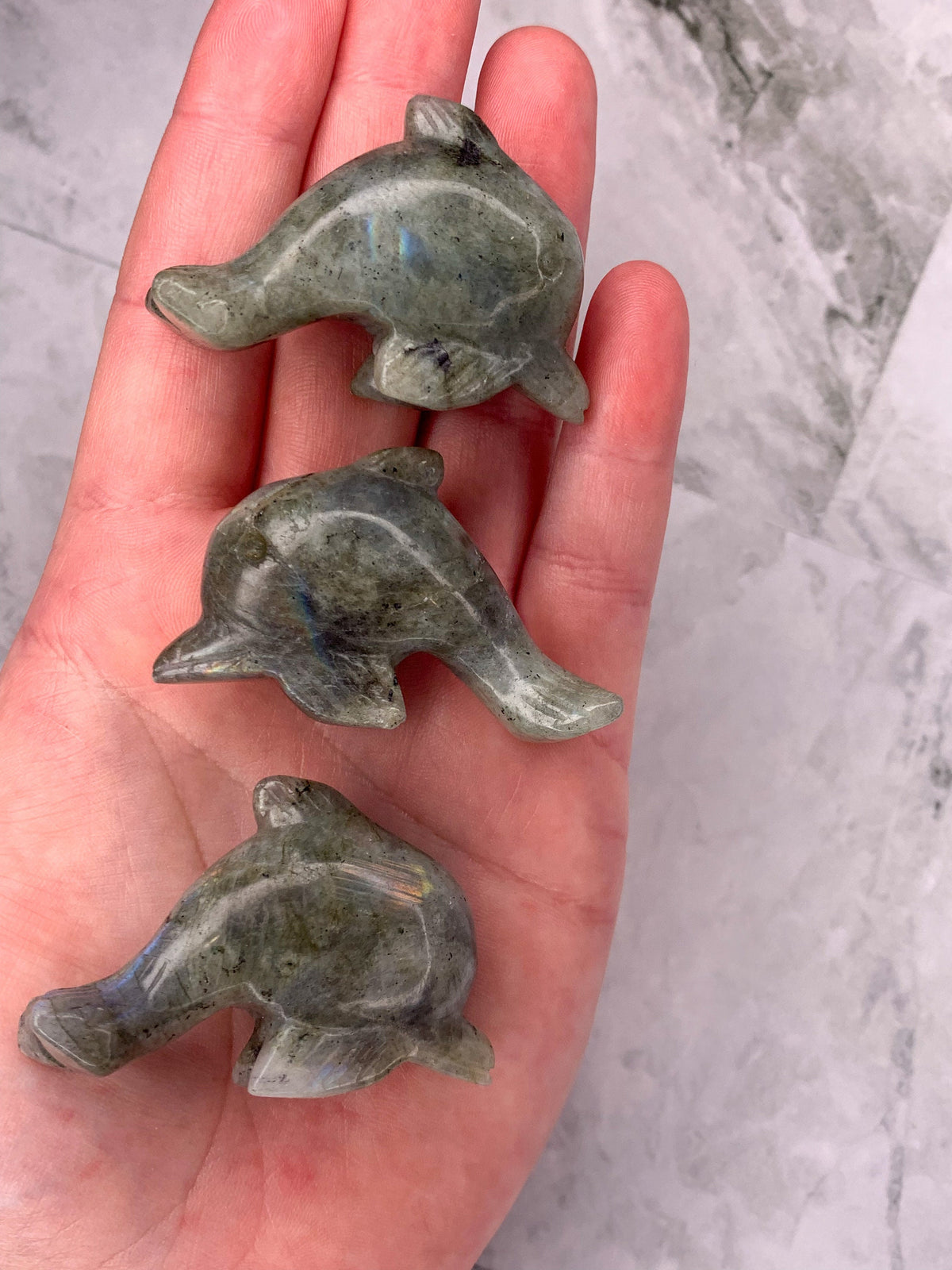 Labradorite Dolphin