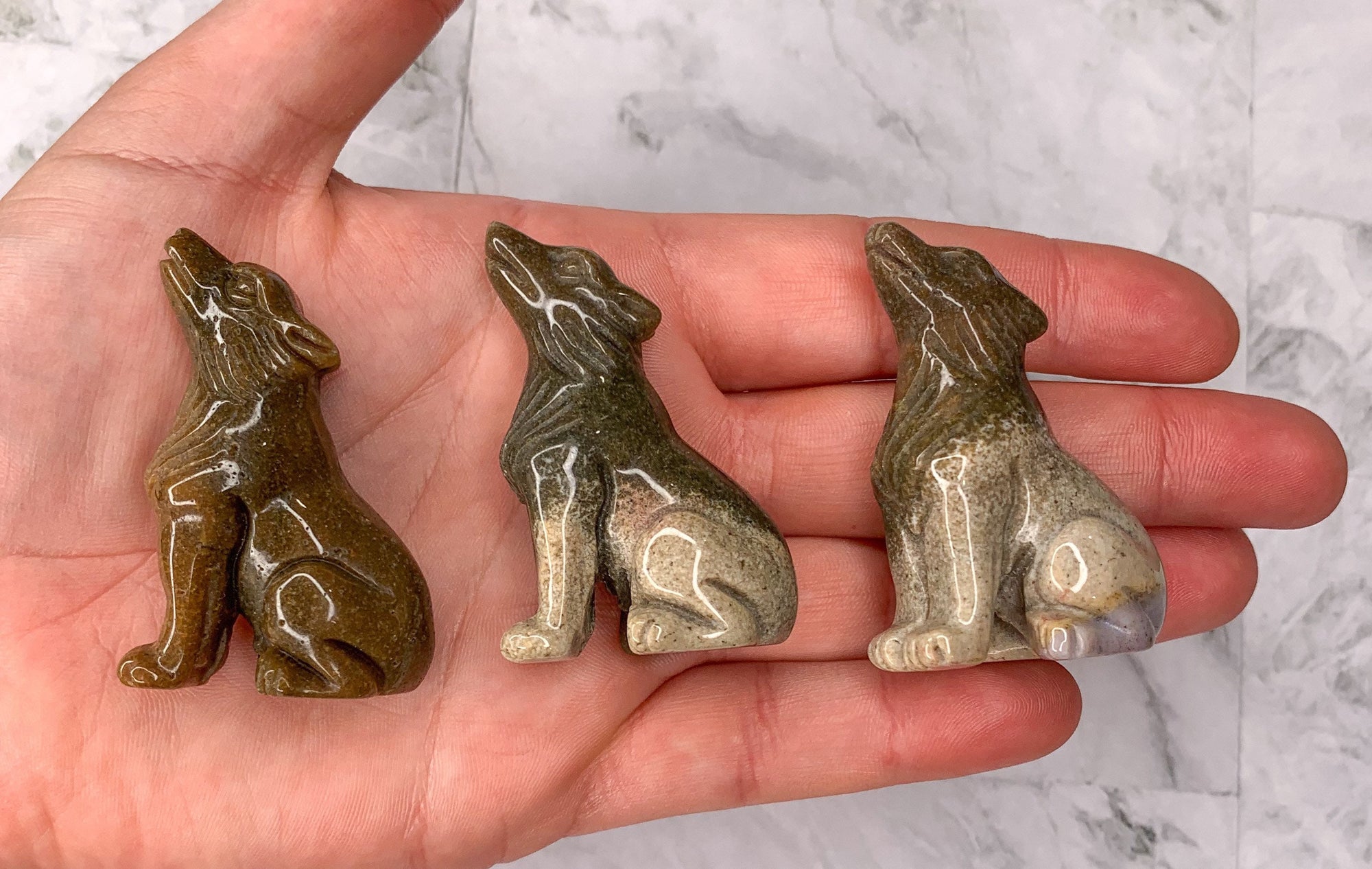 Ocean Jasper Wolf