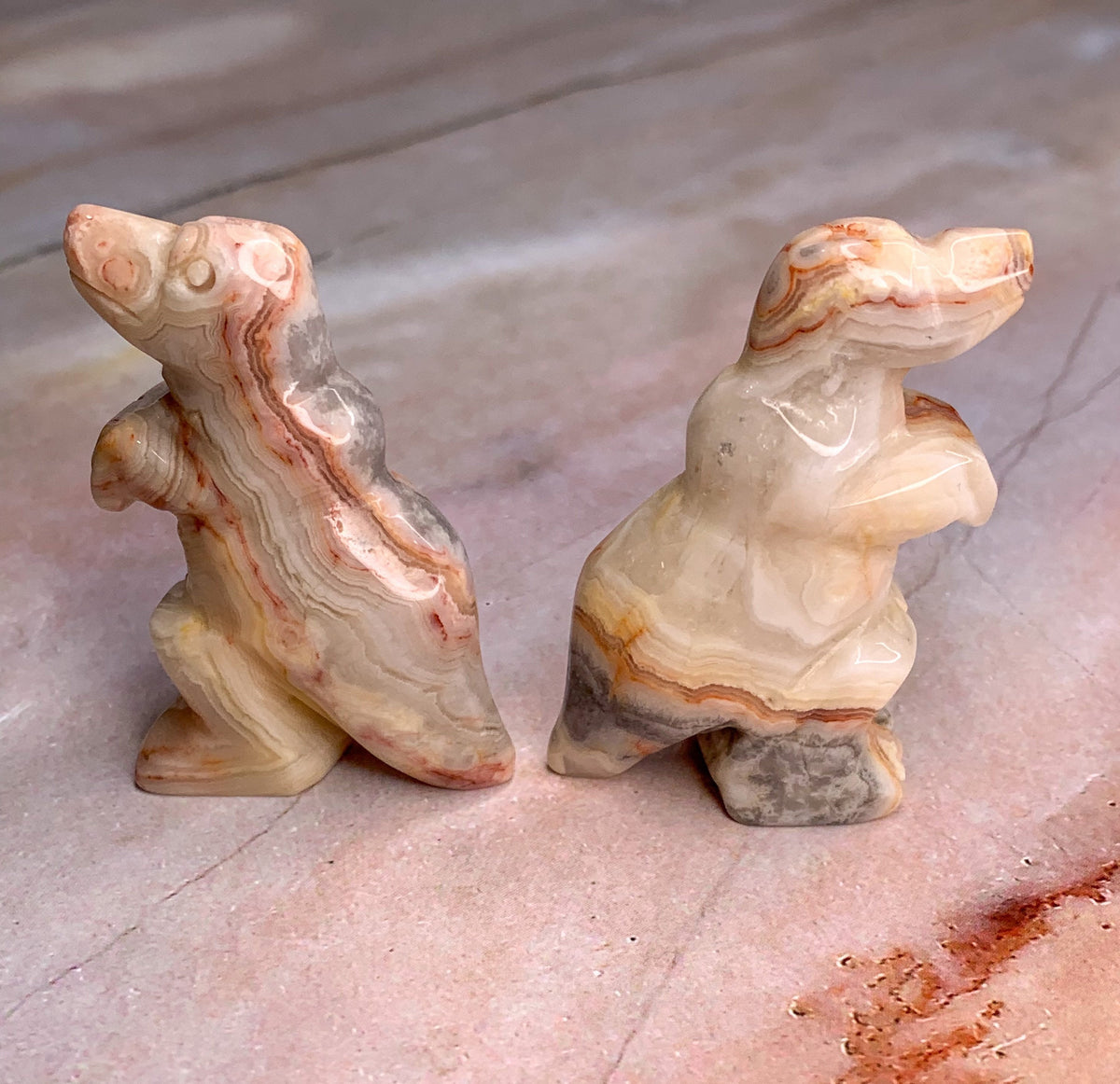 Crazy Lace Agate Dinosaur