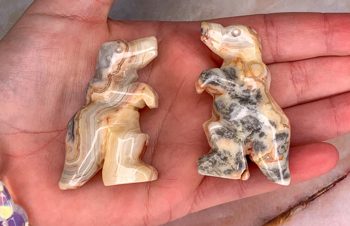 Crazy Lace Agate Dinosaur