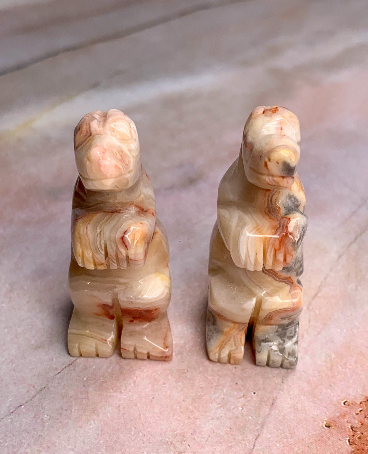 Crazy Lace Agate Dinosaur