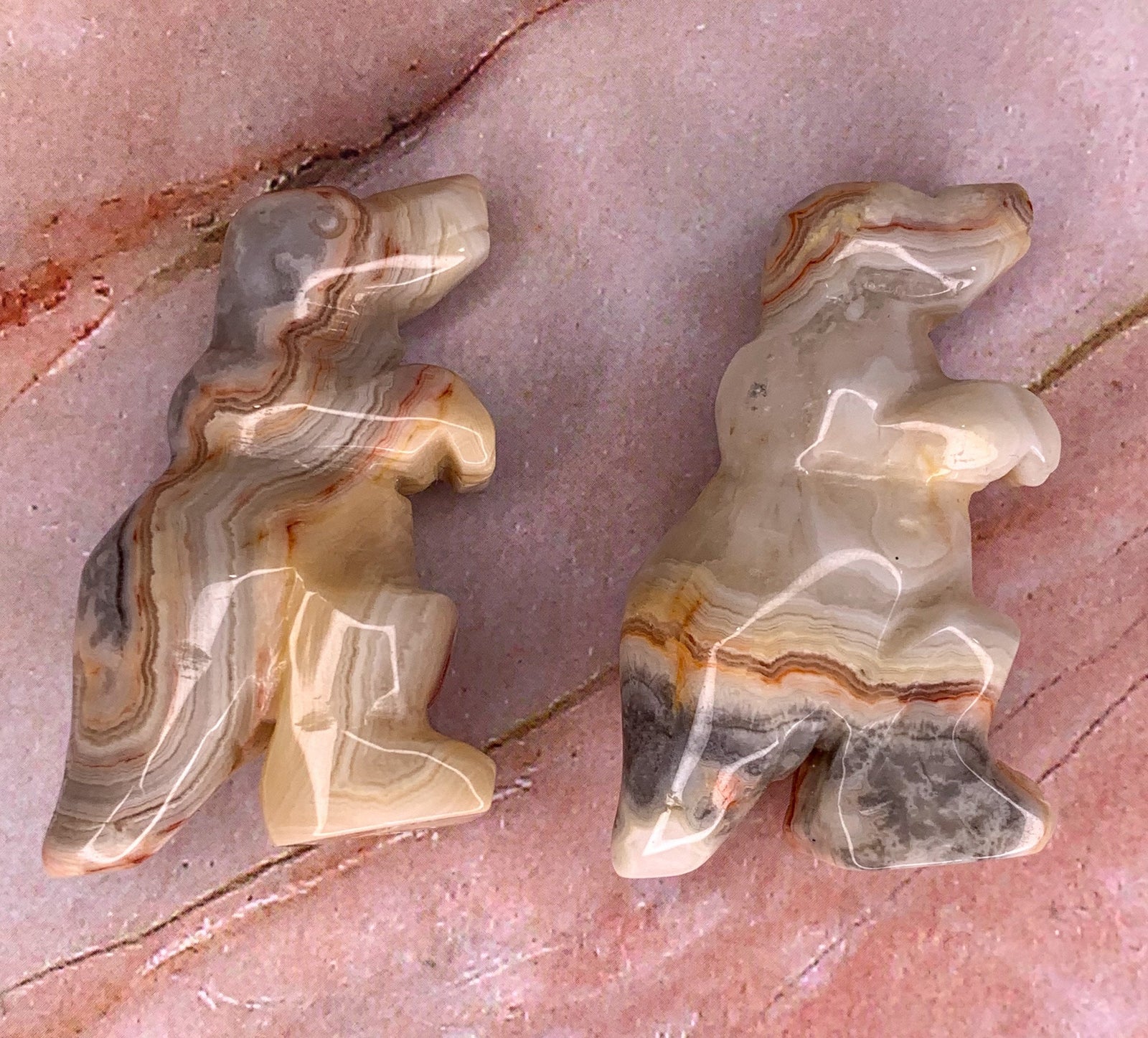 Crazy Lace Agate Dinosaur