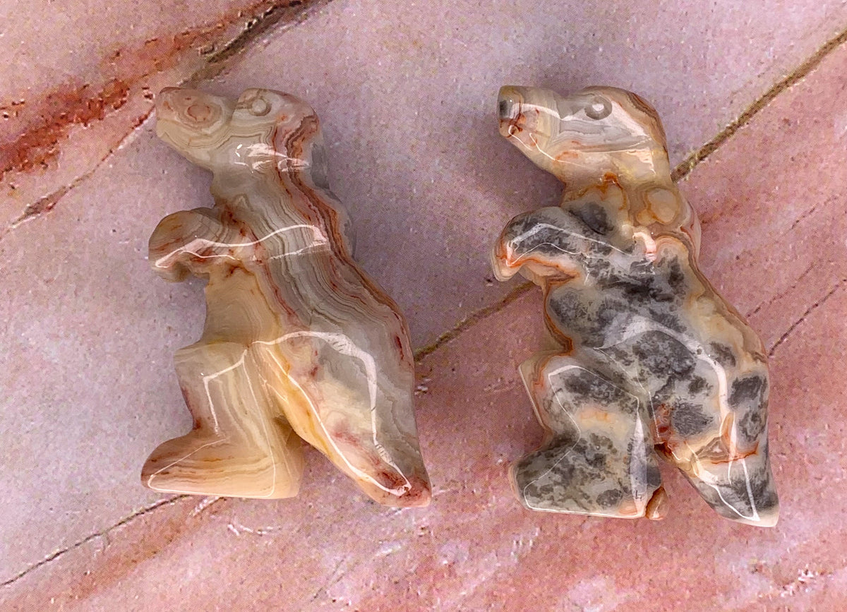 Crazy Lace Agate Dinosaur