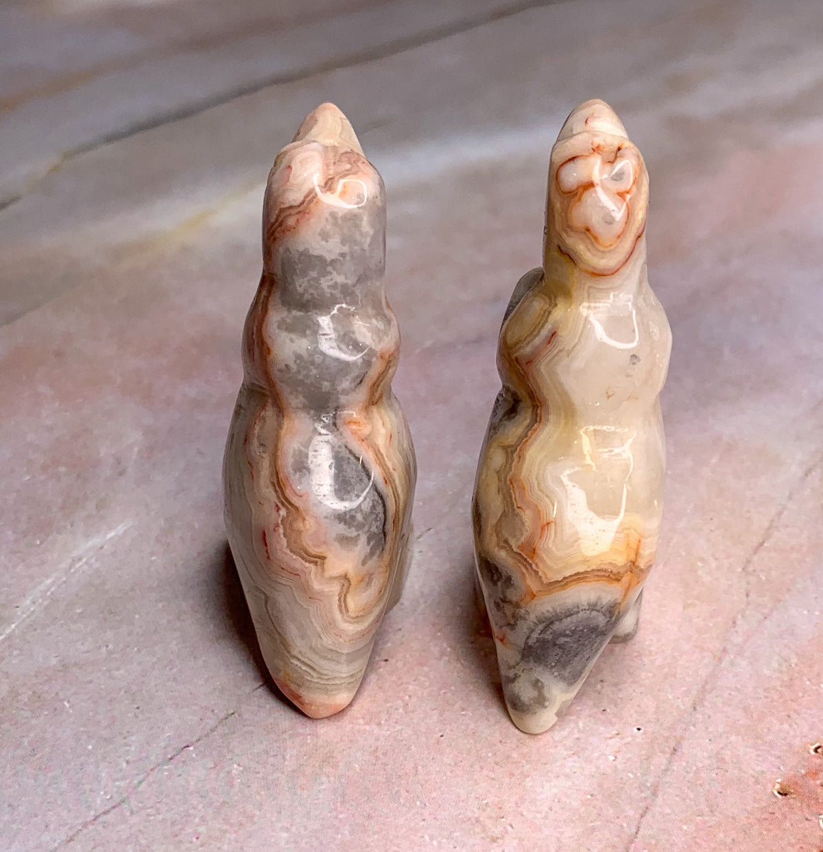 Crazy Lace Agate Dinosaur