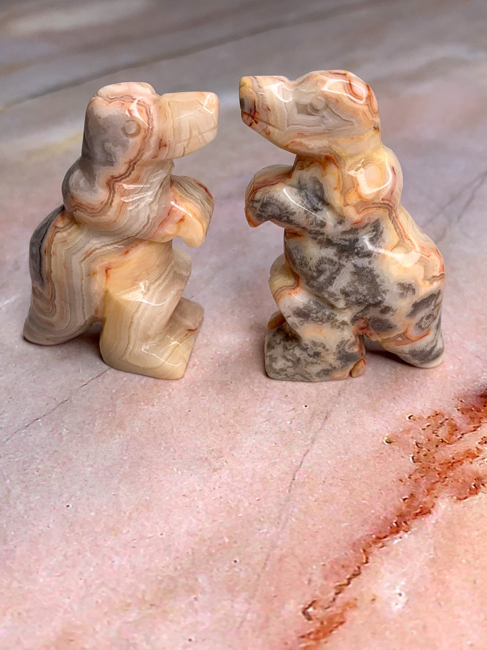 Crazy Lace Agate Dinosaur