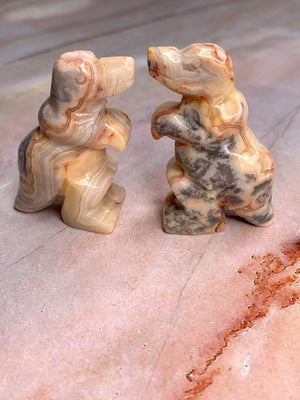 Crazy Lace Agate Dinosaur
