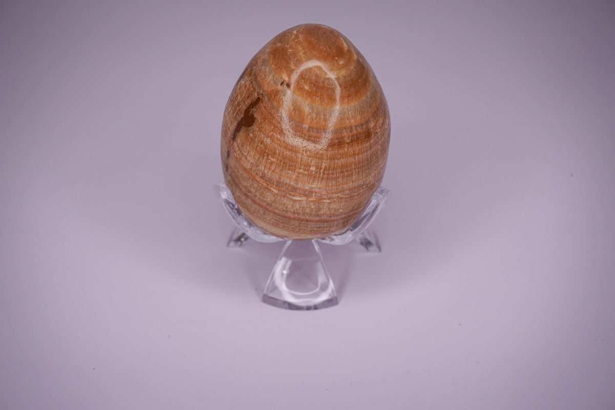 Aragonite Stone Egg