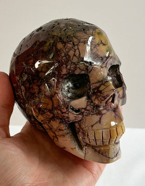 Huge Australian Mookaite Skull