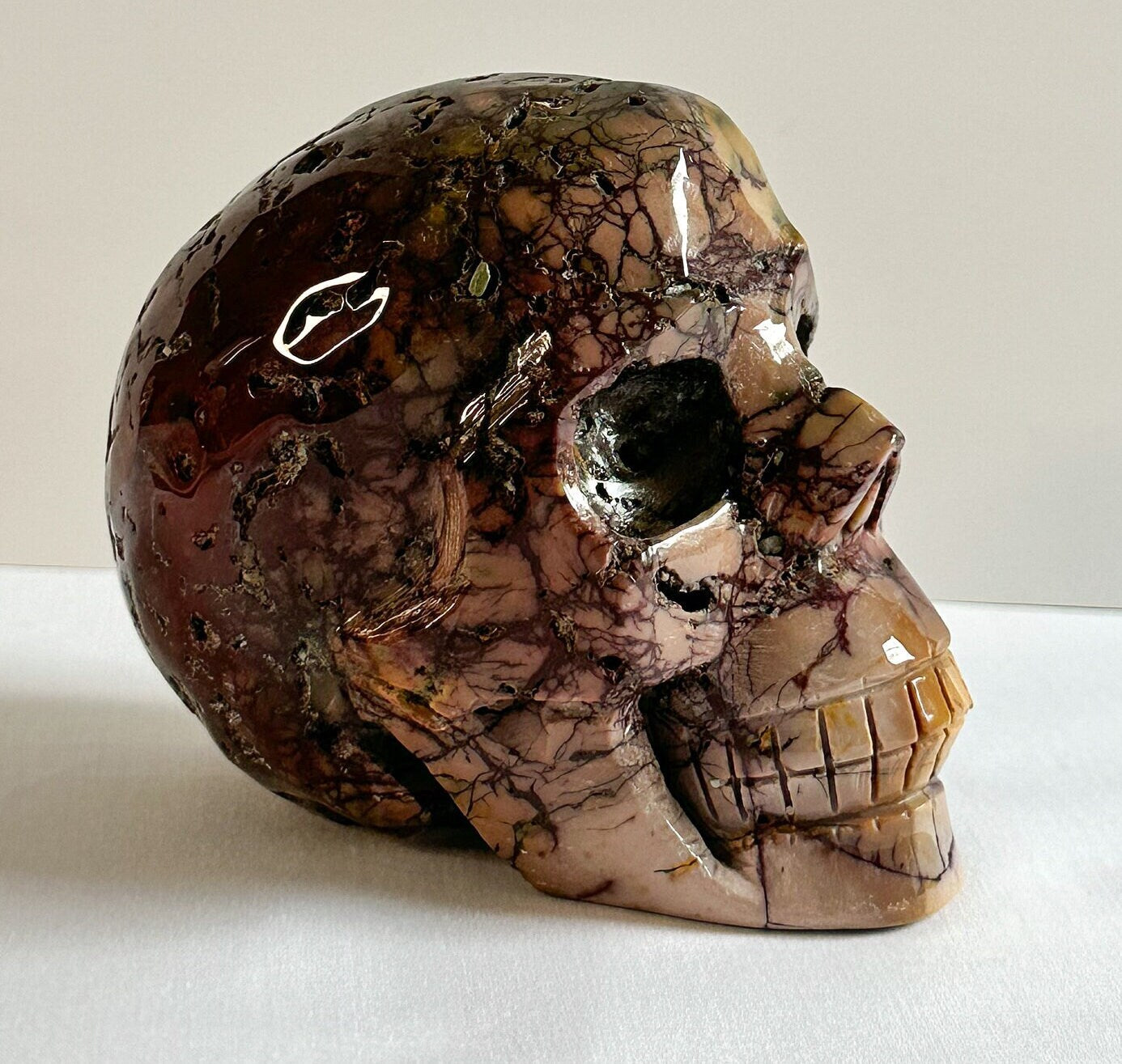 Huge Australian Mookaite Skull