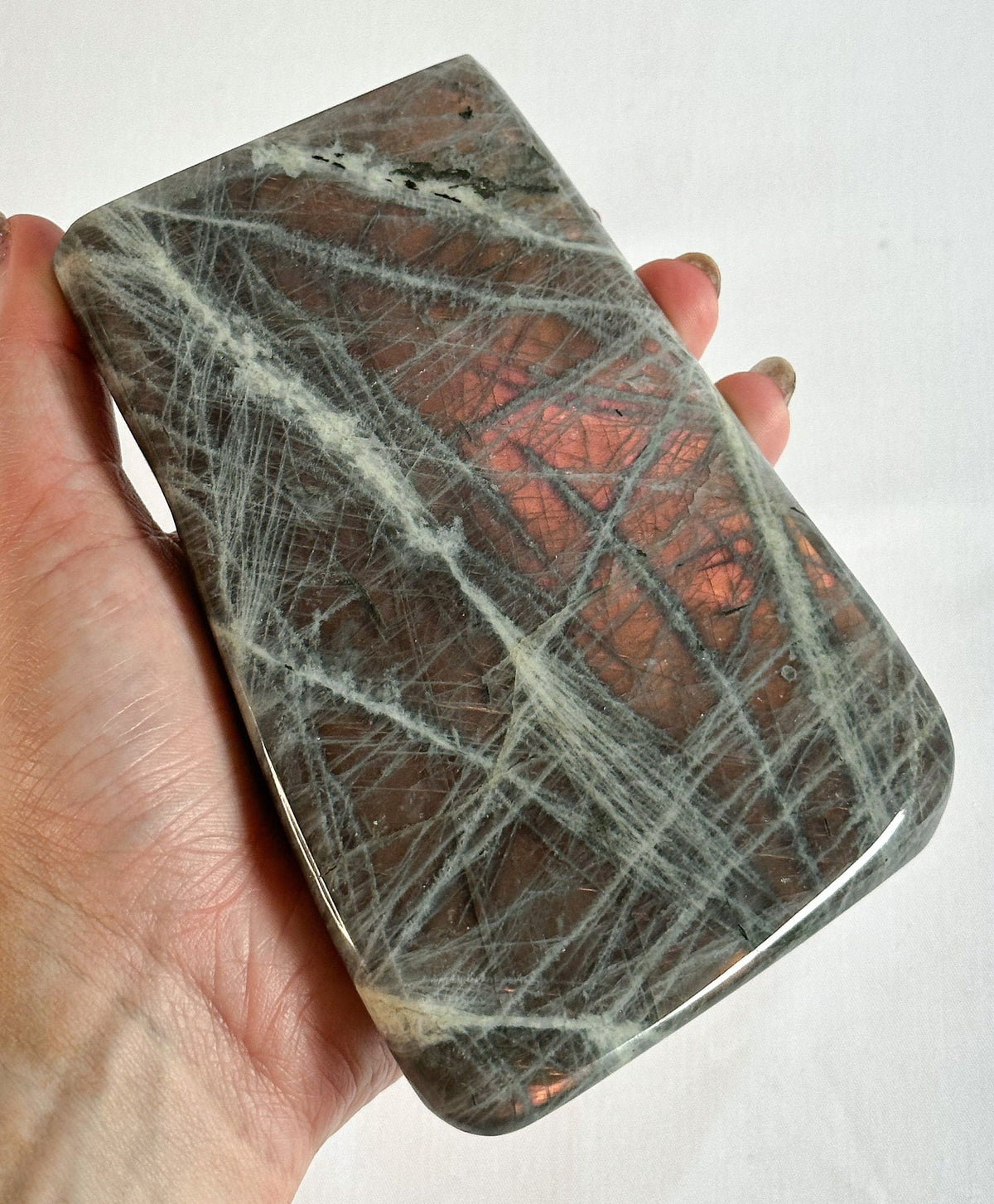 Solid  Large Labradorite Freeform