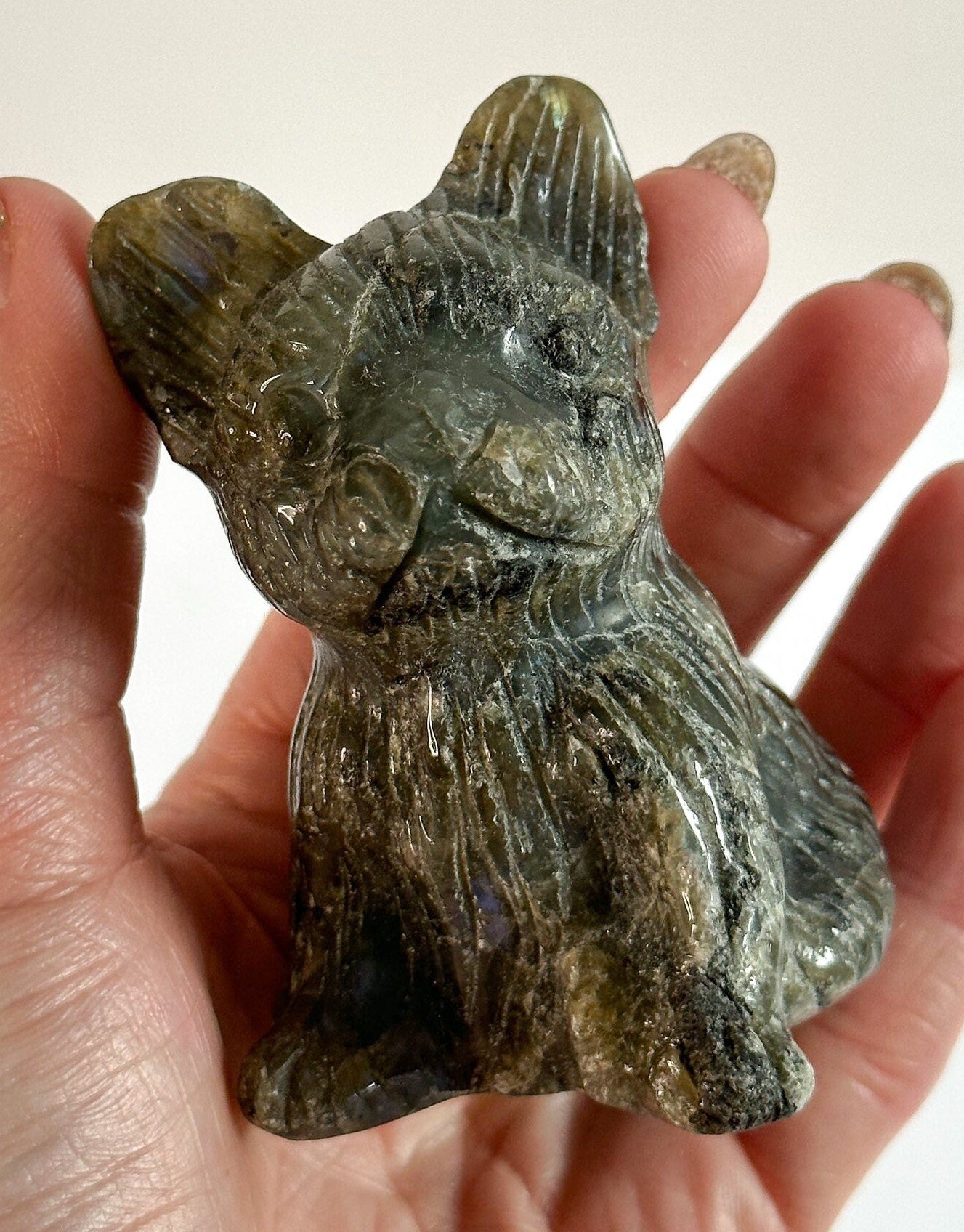 Large Labradorite French Bulldog, Natural Labradorite Dog, Flashy labradorite, Labradorite French Bulldog Carving, Mined Crystals