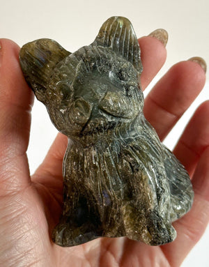 Large Natural Labradorite French Bulldog