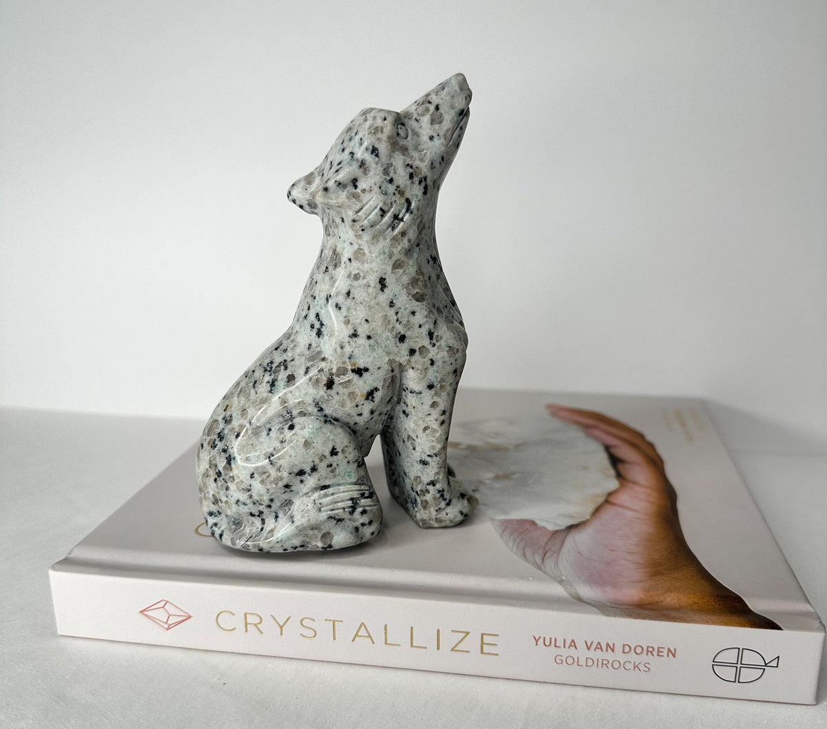 Large Kiwi Jasper Wolf, Kiwi Jasper Wolf Carving, Crystal Wolf Carving, Kiwi Jasper, Kiwi Jasper Wolf, Spirit Animal, Sesame Jasper